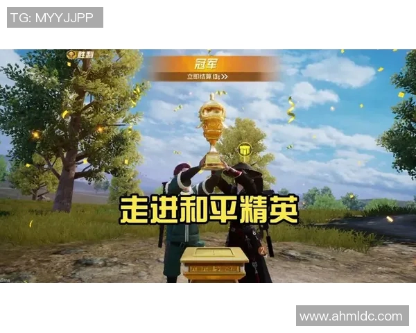 专访陈伟揭秘和平精英成功背后的策略与创新之路 专访陈伟揭秘和平精英成功背后的策略与创新之路