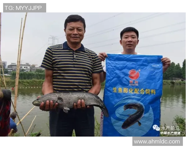 专访陈秀英：探寻她在足球领域取得成功的秘诀与经验分享