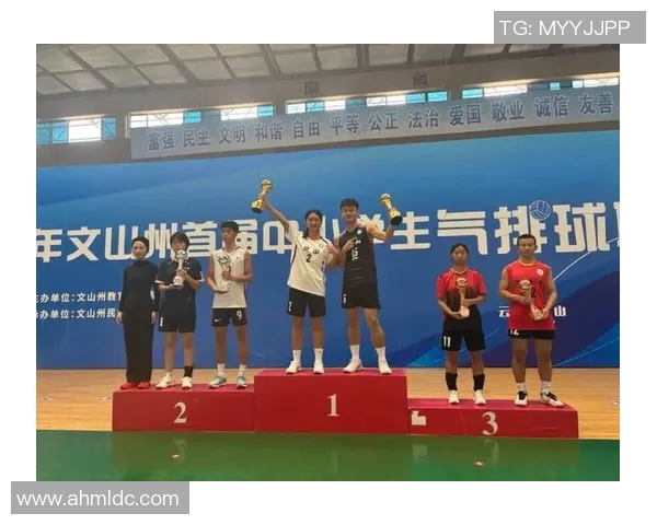 北京排球队逆袭之旅揭秘挑战赛背后的拼搏与团结精神