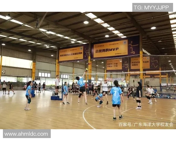 深圳排球队的运营策略深度分析与发展前景探讨