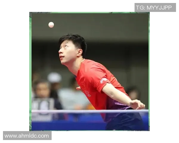 乒乓球新手必看:全面配合技巧与入门训练指南 乒乓球新手必看:全面配合技巧与入门训练指南