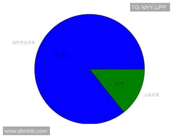 南京篮球队总决赛技术分析与表现评估全面解读