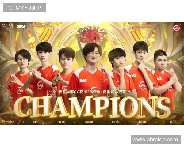 成都羽毛球队总决赛特别报道：追梦之路与辉煌成就的背后故事