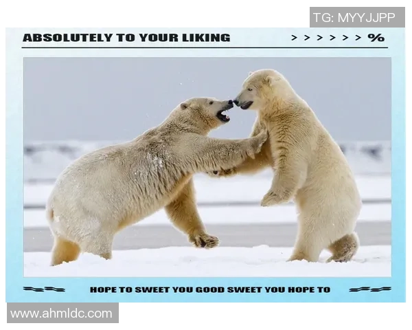 桑普与费拉拉激战正酣球迷期待精彩对决与进球盛宴