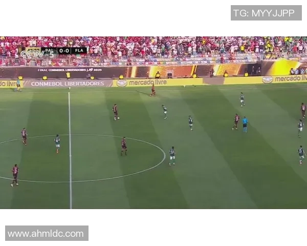 达尼洛:从足球场上的闪耀星辰到生活中的坚韧追梦人 达尼洛:从足球场上的闪耀星辰到生活中的坚韧追梦人