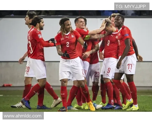 北爱尔兰与瑞士精彩对决视频回顾及赛后分析