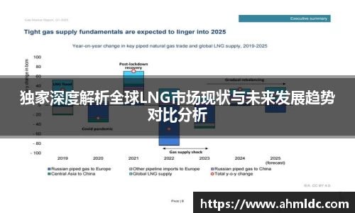 独家深度解析全球LNG市场现状与未来发展趋势对比分析