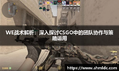 WE战术解析：深入探讨CSGO中的团队协作与策略运用