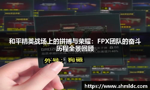 和平精英战场上的拼搏与荣耀：FPX团队的奋斗历程全景回顾