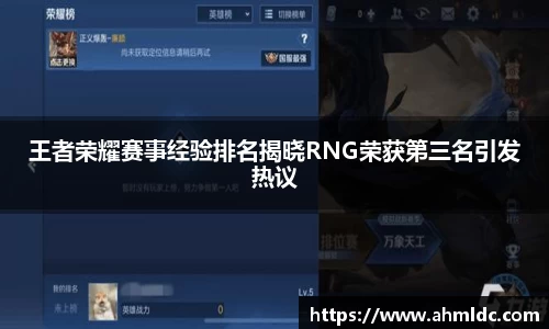 王者荣耀赛事经验排名揭晓RNG荣获第三名引发热议