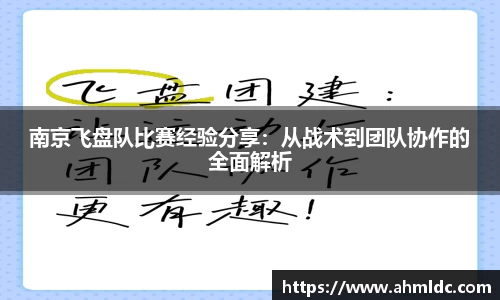 南京飞盘队比赛经验分享：从战术到团队协作的全面解析