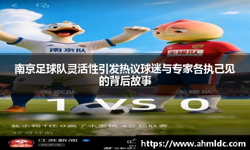 南京足球队灵活性引发热议球迷与专家各执己见的背后故事